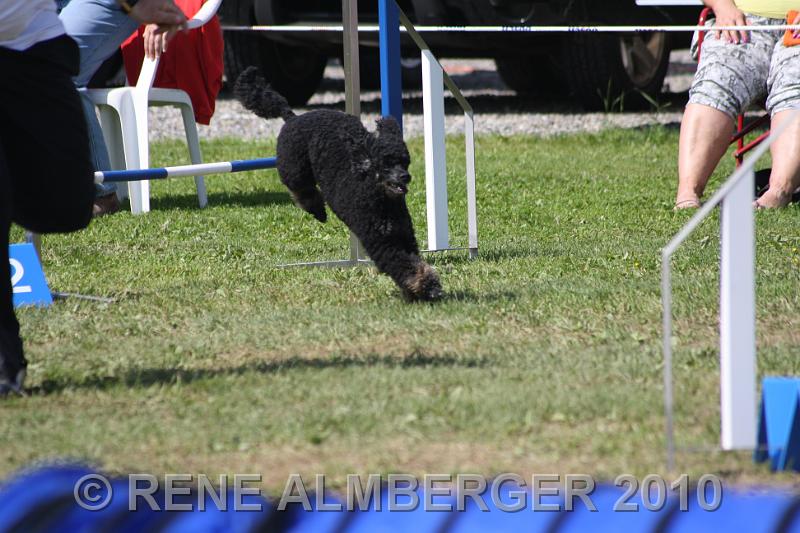 Bild 389.jpg